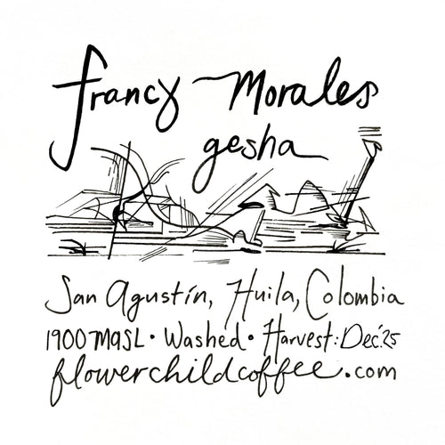 Flower Child Coffee - Francy Morales Washed Gesha | Colombia