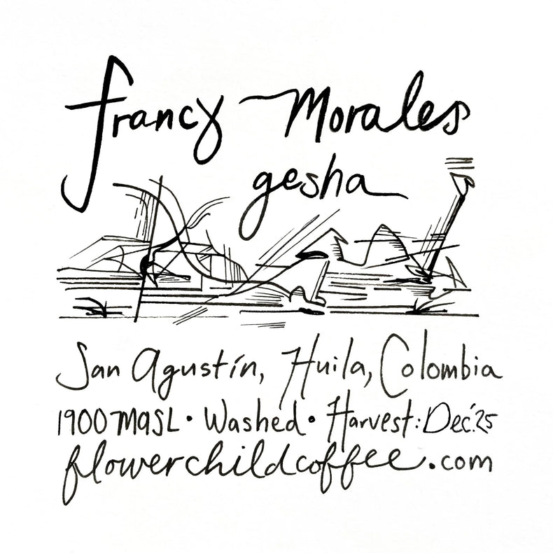 Flower Child Coffee - Francy Morales Washed Gesha | Colombia