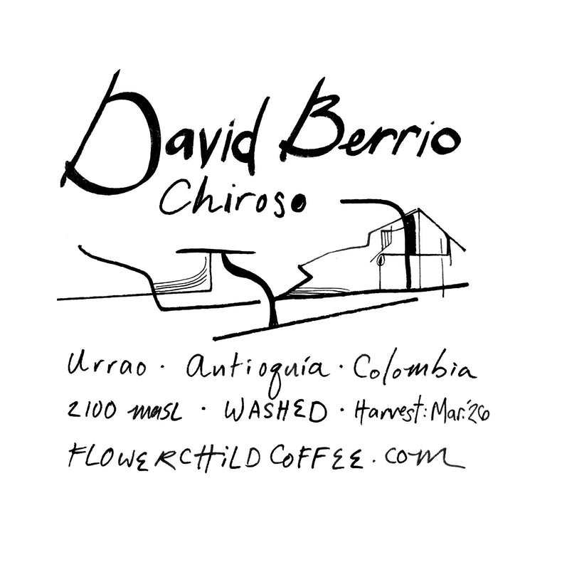 Flower Child Coffee - David Berrio Washed Chiroso | Colombia