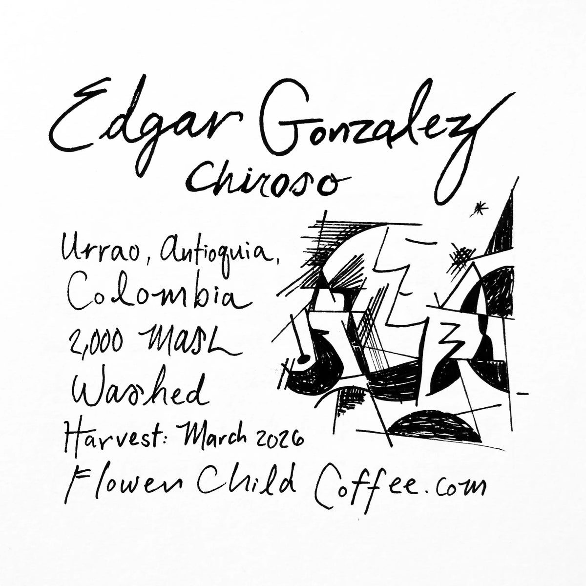 Flower Child Coffee - Edgar Gonzalez Washed Chiroso | Colombia