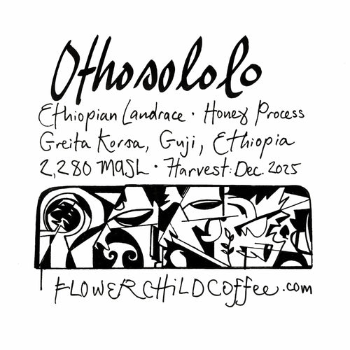 Flower Child Coffee - Othosololo Station Honey Landrace | Ethiopia