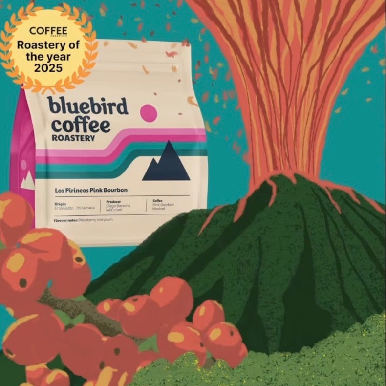 Bluebird Coffee - Los Pirineos Pink Bourbon | El Salvador