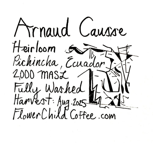 Flower Child Coffee - Arnaud Causse Heirloom - Sigma Coffee UK