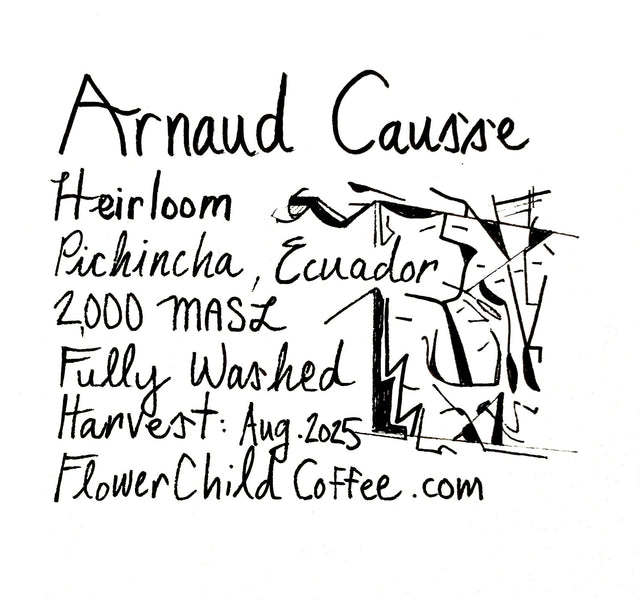 Flower Child Coffee - Arnaud Causse Heirloom - Sigma Coffee UK