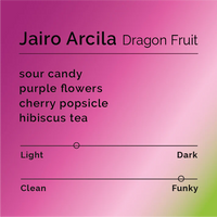 Black & White - Jairo Arcila - Dragonfruit | Colombia