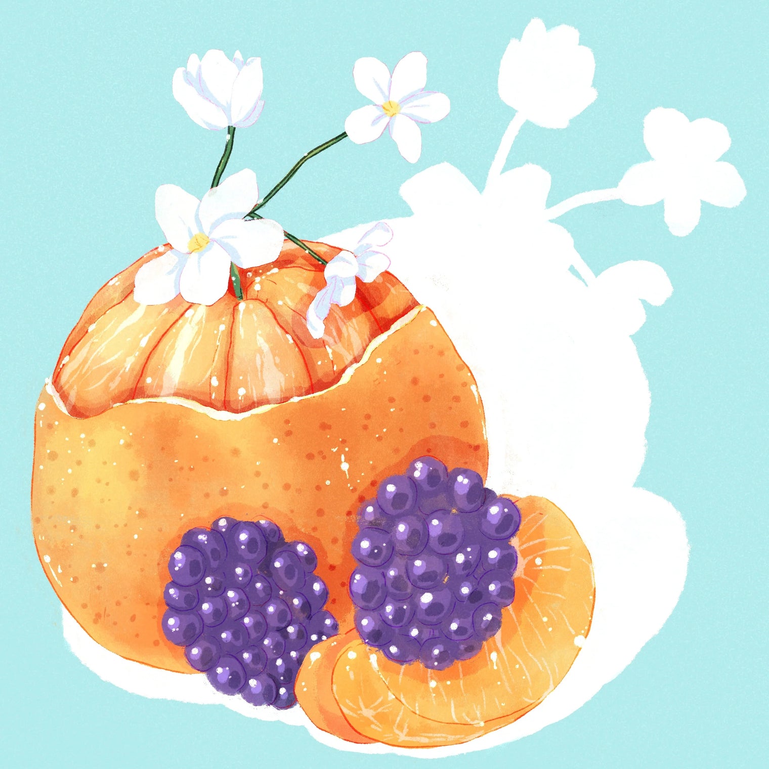 Hydrangea - cGLE, Las Margaritas - Washed Gesha | Colombia - Sigma Coffee UK