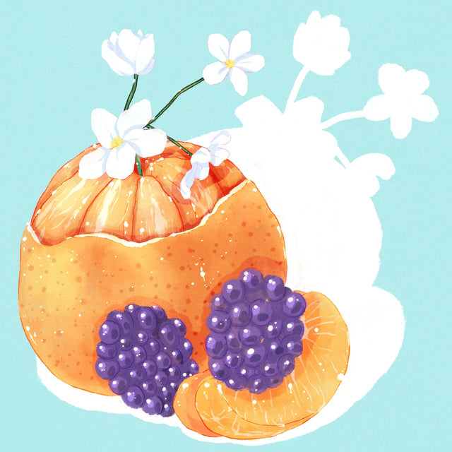 Hydrangea - cGLE, Las Margaritas - Washed Gesha | Colombia - Sigma Coffee UK