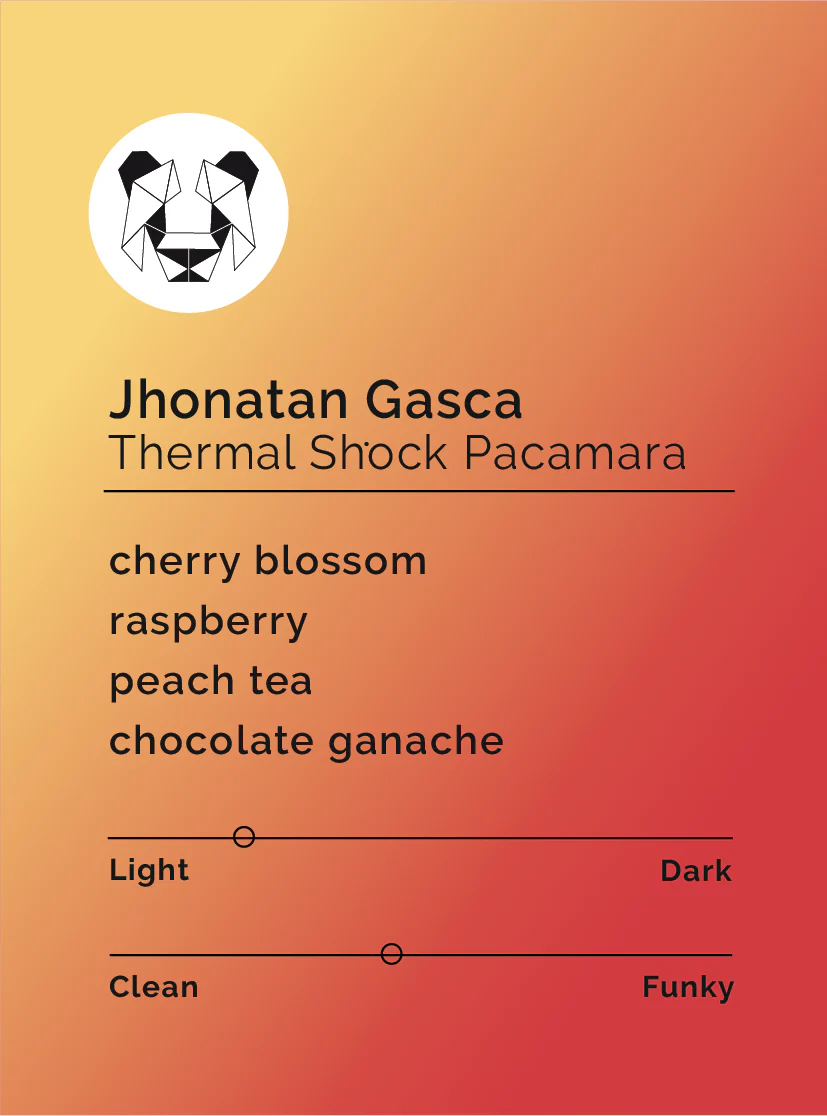 Black & White - Jhonatan Gasca - Thermal Shock Pacamara - Sigma Coffee UK