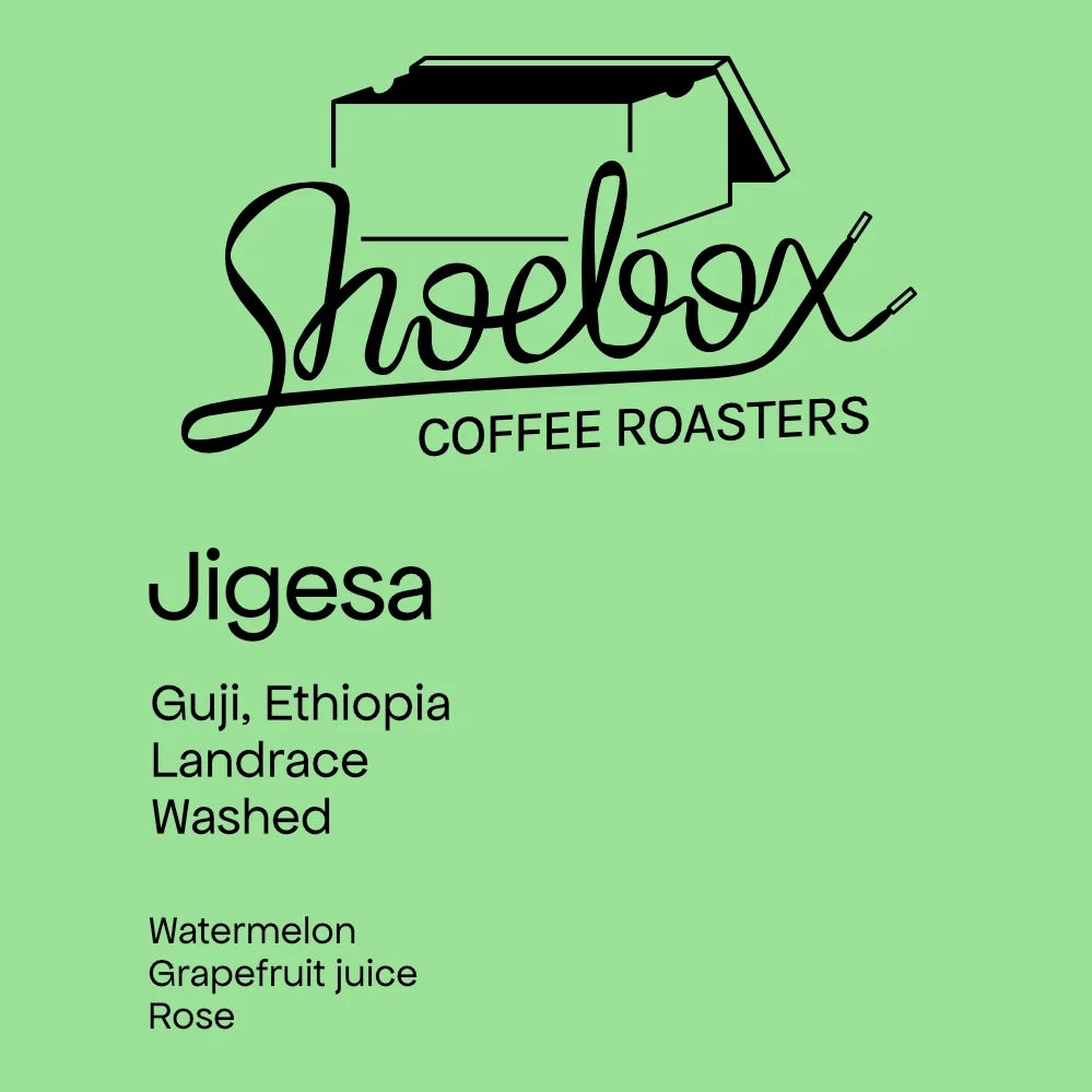 Shoebox Coffee Roasters - Jigesa Washed Landrace | Ethiopia