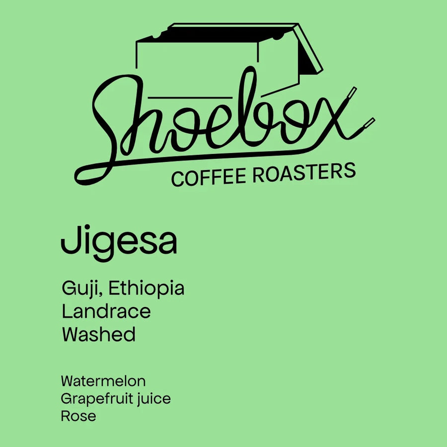 Shoebox Coffee Roasters - Jigesa Washed Landrace | Ethiopia
