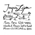 Flower Child Coffee - Joaquin Lipa - Bourbon - Sigma Coffee UK
