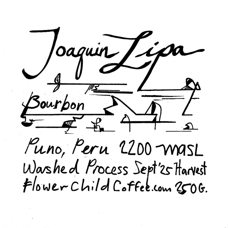 Flower Child Coffee - Joaquin Lipa - Bourbon - Sigma Coffee UK