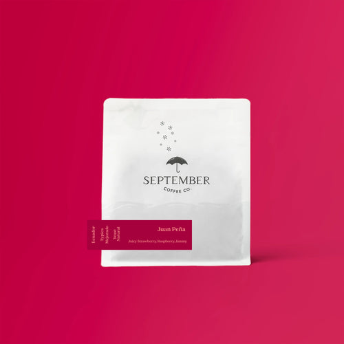 September - Juan Peña, Yeast Inoculated Typica | Ecuador