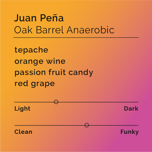 Black & White - Juan Peña - Oak Barrel, Anaerobic Typica Mejorado