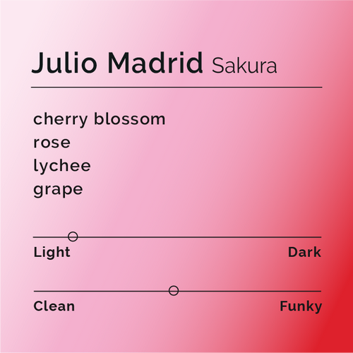 Black & White - Julio Madria - Sakura