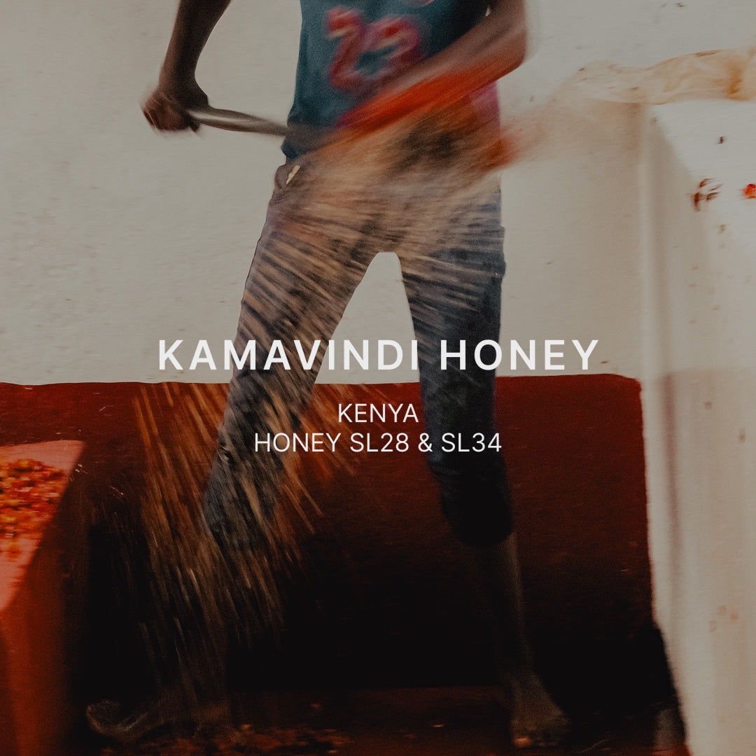 Mazelab - Kamavindi Exp. Honey SL28 & SL34 | Kenya