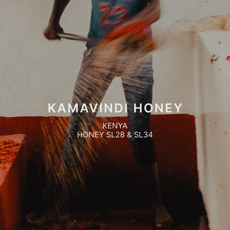 Mazelab - Kamavindi Exp. Honey SL28 & SL34 | Kenya