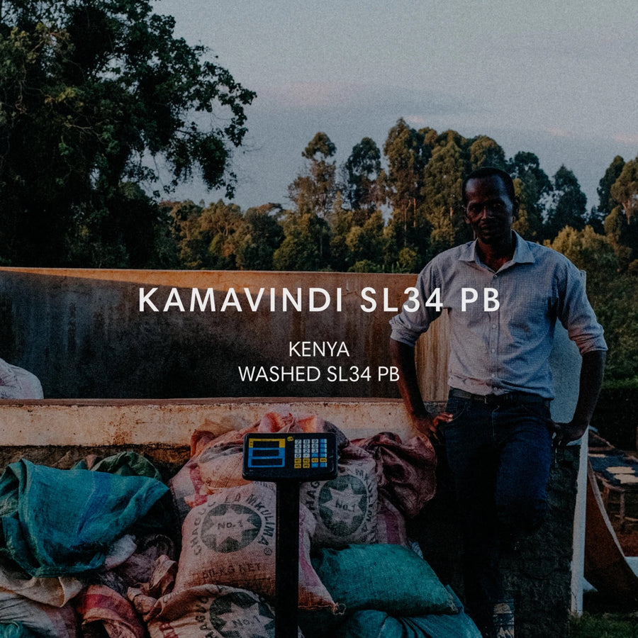 Mazelab - Mbature Family Kamavindi Estate SL34 Peaberry