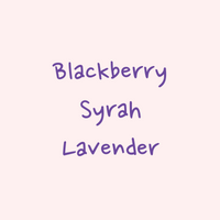 Hydrangea - Karinga AA Washed | Kenya