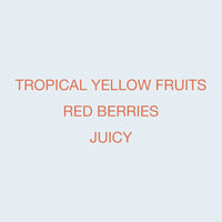 Koppi - Karinga AA | Kenya