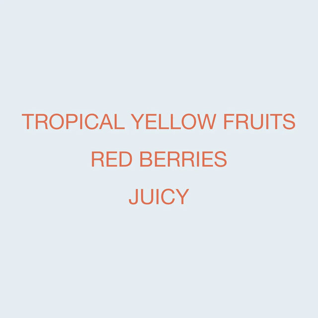 Koppi - Karinga AA | Kenya