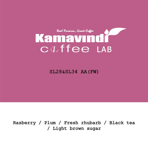 Goût & Co - 2026 New Crop Kenya Kamavindi coffee lab SL28&SL34 AA Fully Washed