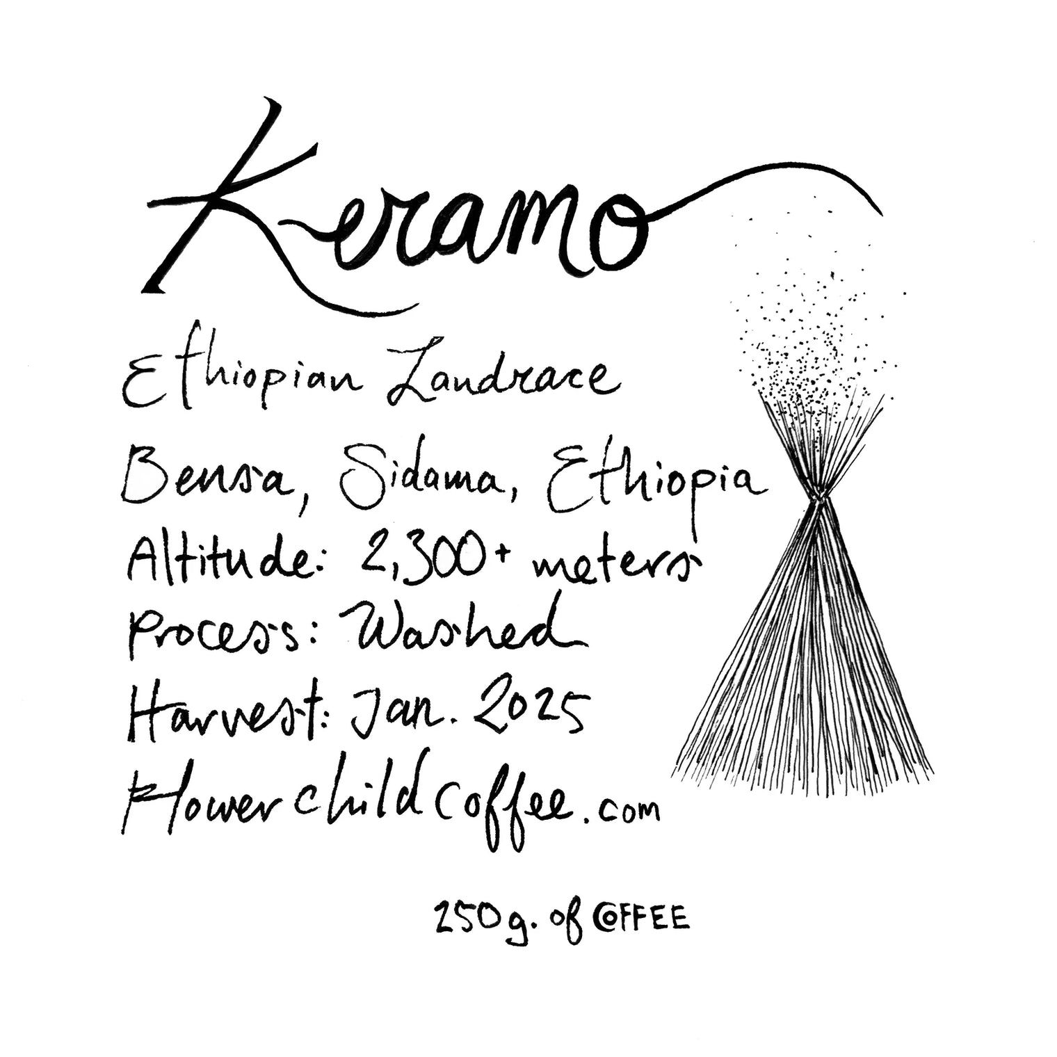 Flower Child - Keramo
