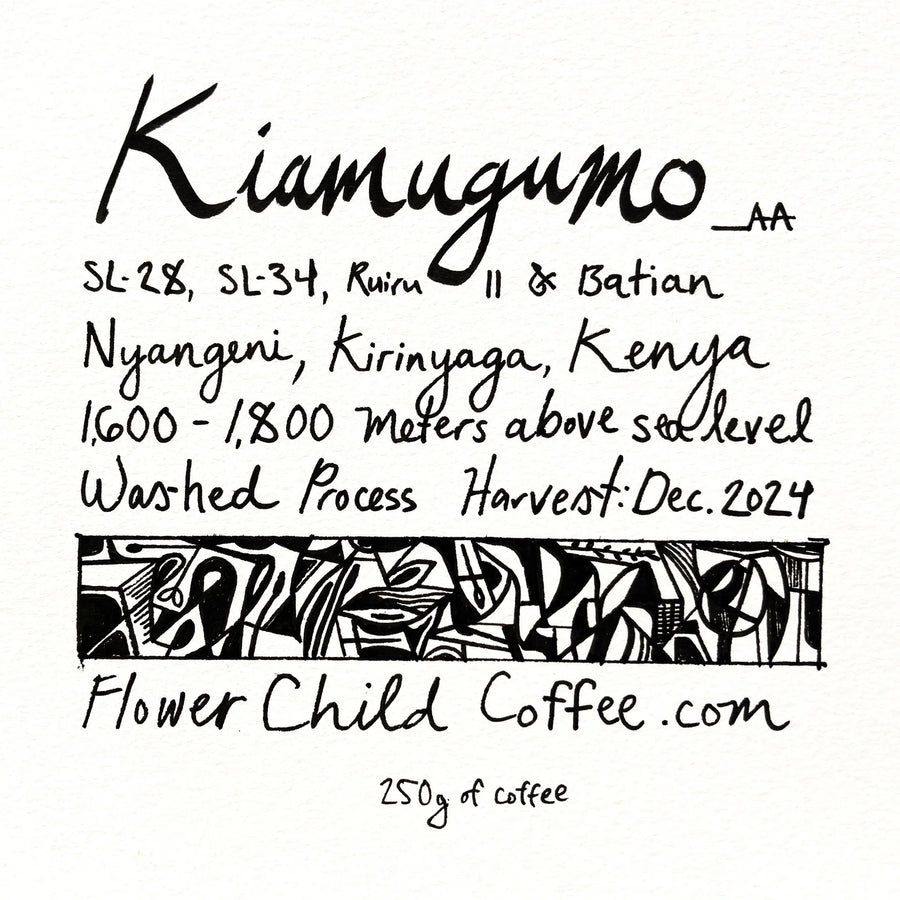 Flower Child - Kiamugumo AA - Sigma Coffee UK
