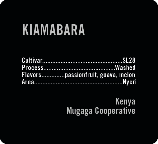Apollon's Gold - Kiamabara - Washed SL28 | Kenya