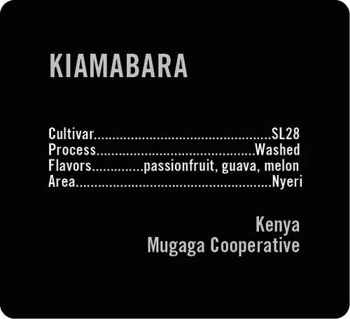 Apollon's Gold - Kiamabara - Washed SL28 | Kenya