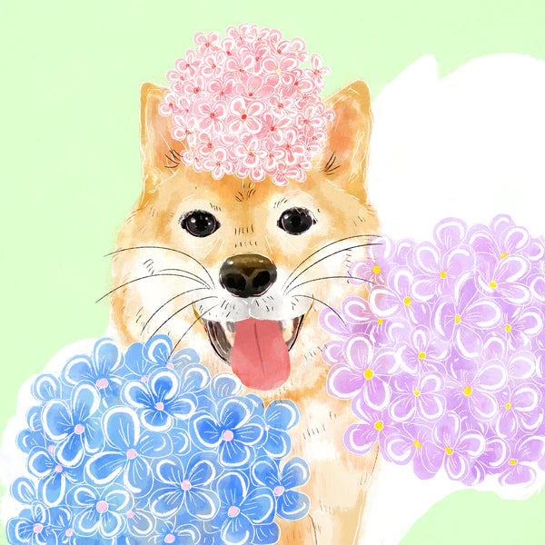 Hydrangea - Gesha Washed 910 NWS Finca Nuguo