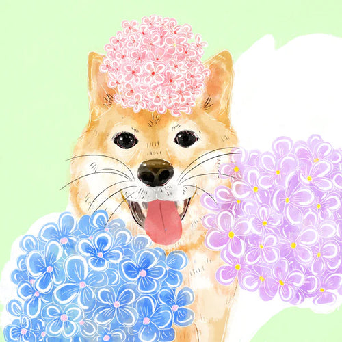 Hydrangea - Gesha Washed 910 NWS Finca Nuguo