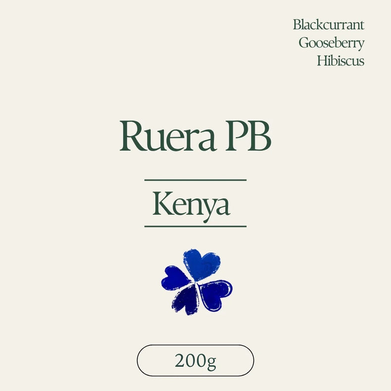 Klover - Ruera Estate PB Washed | Kenya