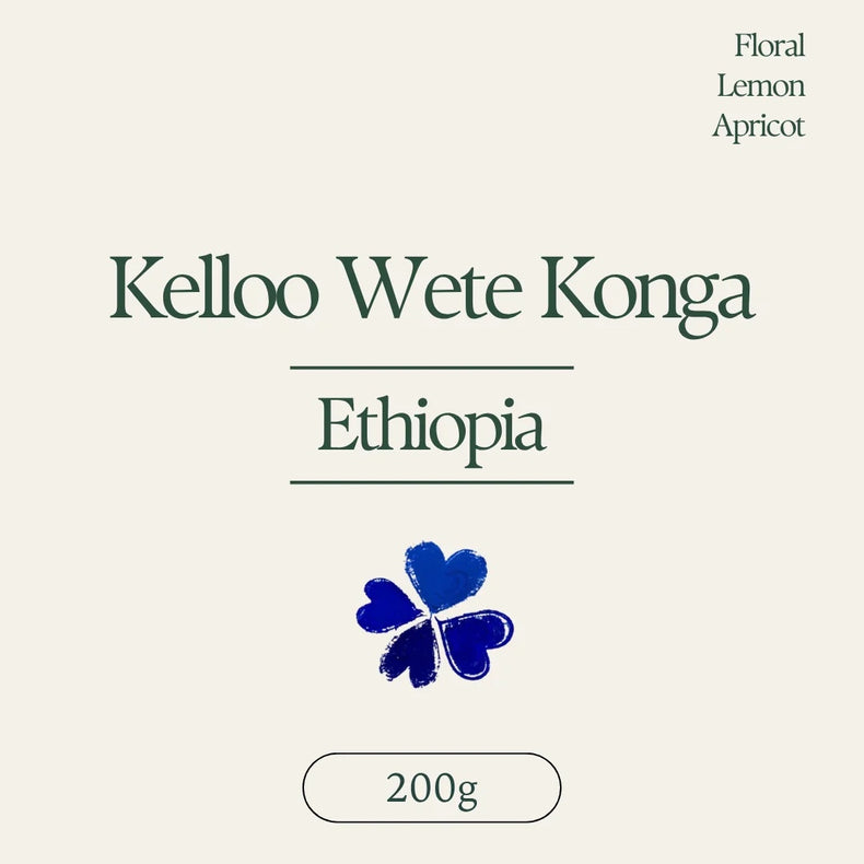 Klover - Kelloo Wete Konga Heirloom Washed | Ethiopia