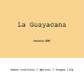 Goût & Co - Colombia La Guayacana, Gesha Double Ferment Washed - Sigma Coffee UK