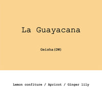 Goût & Co - Colombia La Guayacana, Gesha Double Ferment Washed - Sigma Coffee UK