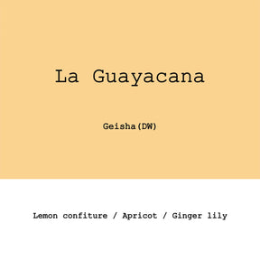 Goût & Co - Colombia La Guayacana, Gesha Double Ferment Washed - Sigma Coffee UK