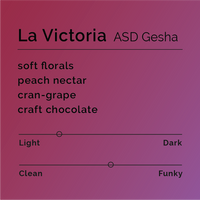 Black & White - La Victoria ASD Gesha