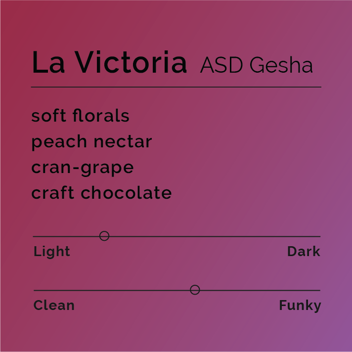 Black & White - La Victoria ASD Gesha