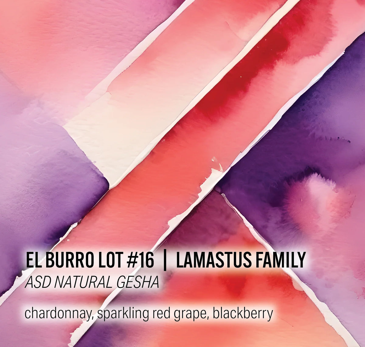 Moonwake - Lamastus Family El Burro Lot #16- ASD Natural Gesha | Panama - Sigma Coffee UK