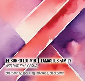 Moonwake - Lamastus Family El Burro Lot #16- ASD Natural Gesha | Panama - Sigma Coffee UK