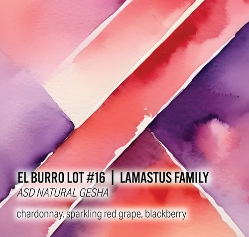 Moonwake - Lamastus Family El Burro Lot #16- ASD Natural Gesha | Panama - Sigma Coffee UK