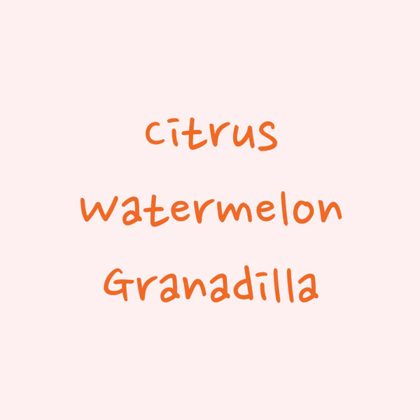 Hydrangea - Finca Las Veraneras - Washed Landrace | Ethiopia