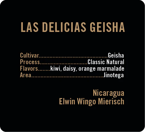 Apollon's Gold - Las Delicias - Natural Geisha | Nicaragua