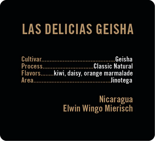 Apollon's Gold - Las Delicias - Natural Geisha | Nicaragua