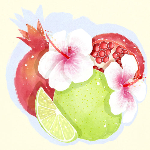 Hydrangea - Pink Bourbon Washed - Finca Los Capachos
