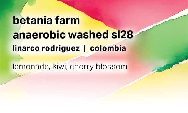 Moonwake Coffee Roasters - Linarco Rodriguez Finca Betania - Anaerobic Washed SL28 | Colombia - Sigma Coffee UK