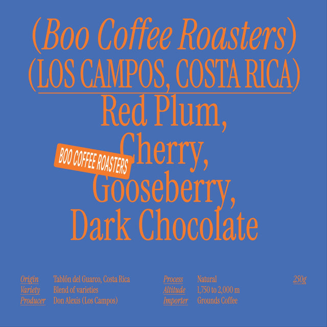 Boo Coffee Roasters - Los Campos Field Blend Natural | Costa Rica