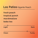 Black & White - Los Patios - Gigante Peach | Colombia - Sigma Coffee UK