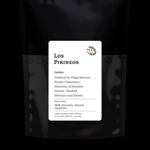 Tim Wendelboe - Los Pirineos Geisha | El Salvador